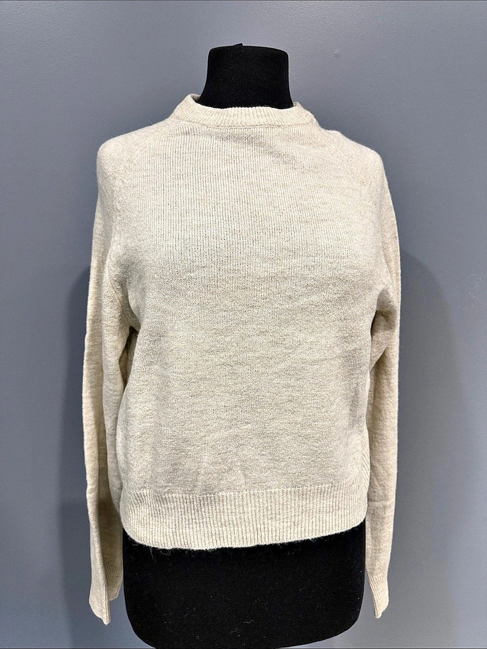 H&M Turtleneck Sweater in Cream Size Small NWT